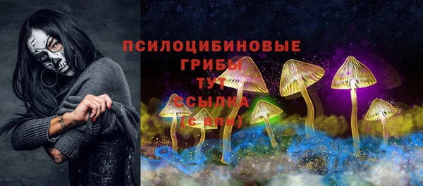 МДПВ Верхний Тагил