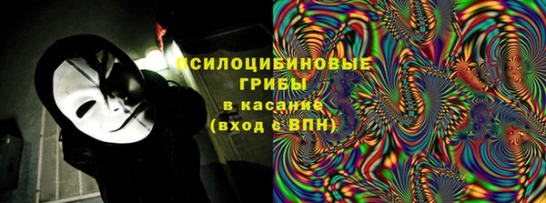 МДПВ Верхний Тагил