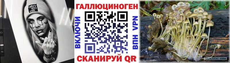 Псилоцибиновые грибы Psilocybine cubensis  Купить где  Ковдор 