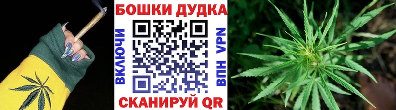 Купить закладки  Ковдор  Бошки Шишки индика 